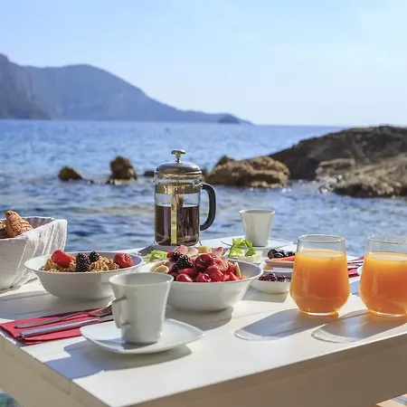 Private Island-style Ultra Luxury Estate ヴィラ